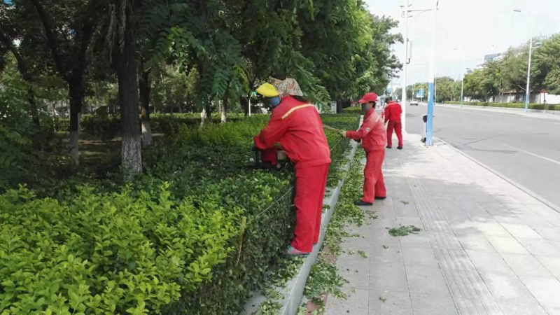 园林绿化工程的新篇章：一场美学与生态的交响曲