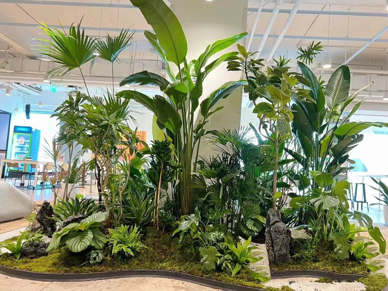植物租摆