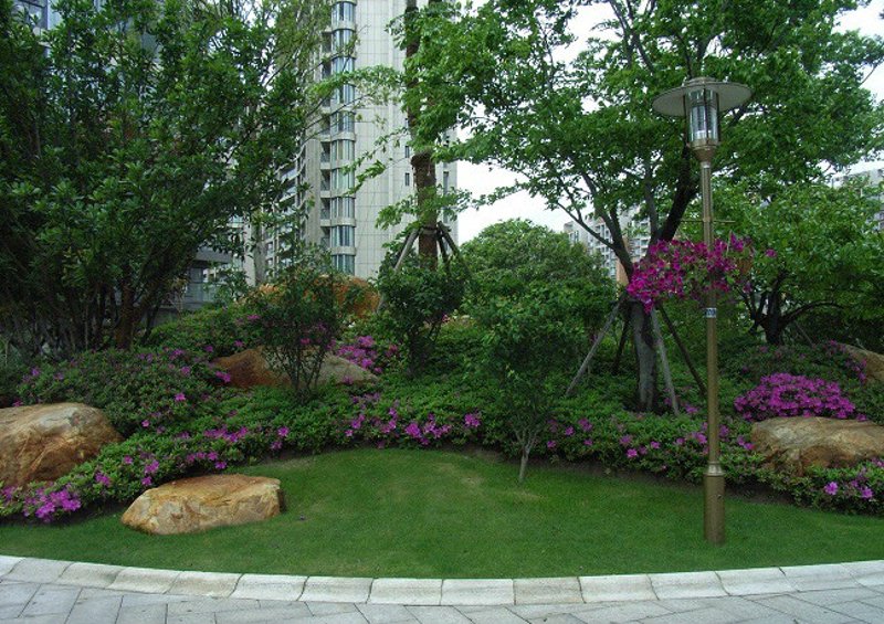 市政绿化：城市绿肺的呼吸与生命力